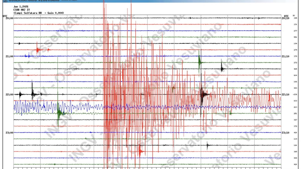 Il sisma 6.2 in Calabria segnalato dal sismografo ai Campi Flegrei