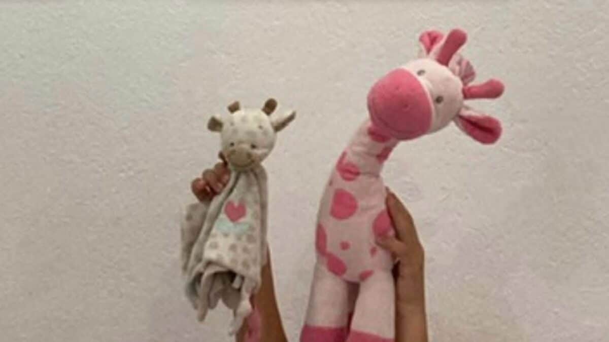 Peluche rubati (foto Facebook)