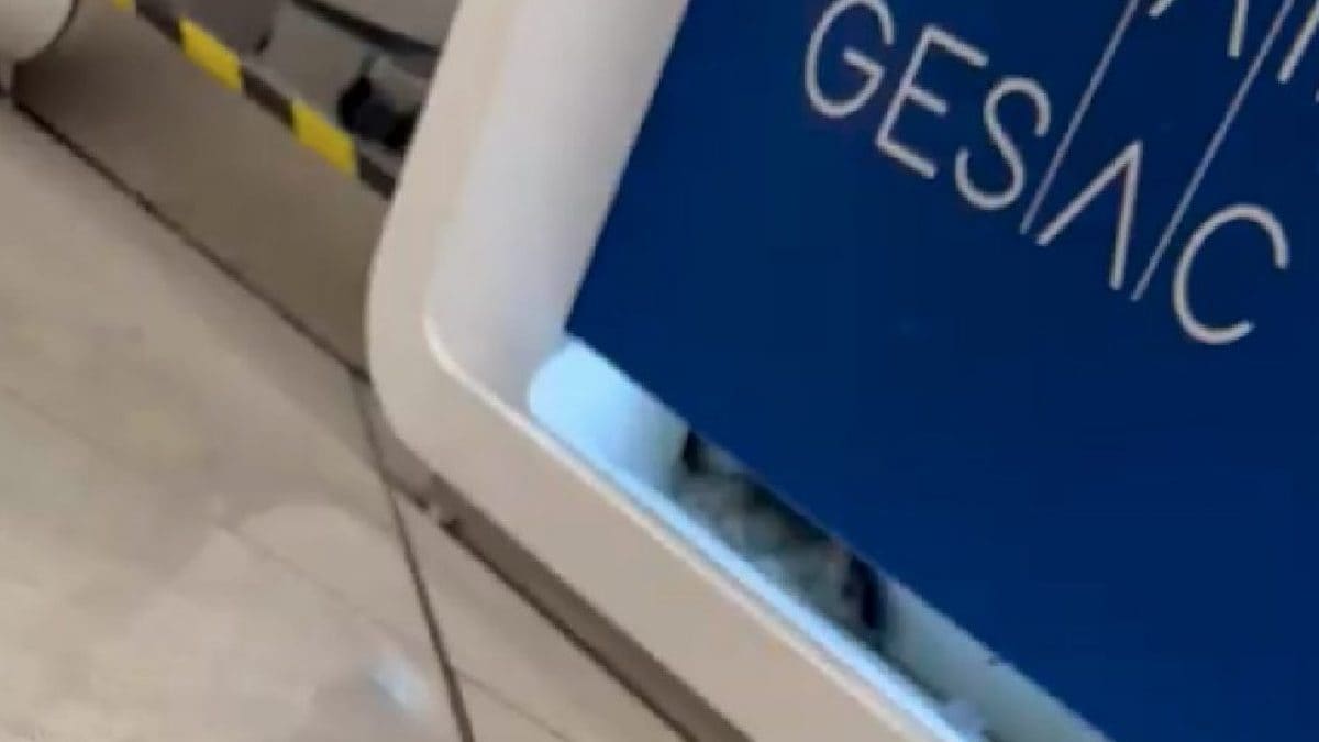Un topo all’Aeroporto di Napoli Capodichino / Fanpage.it