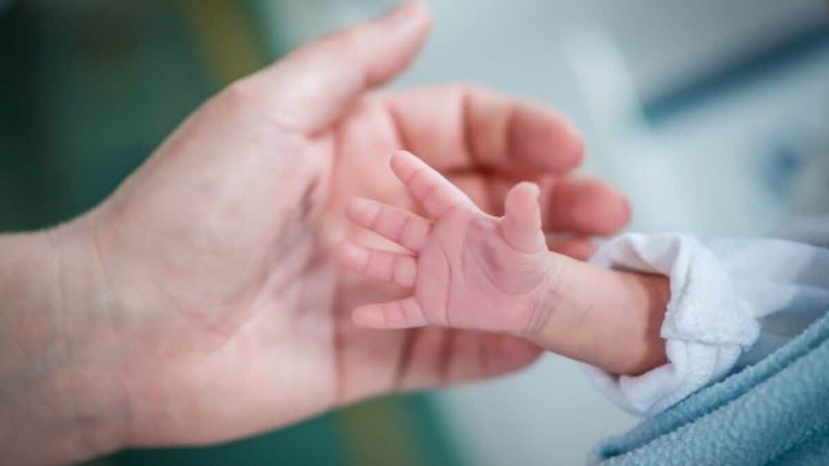 Immagine di repertorio