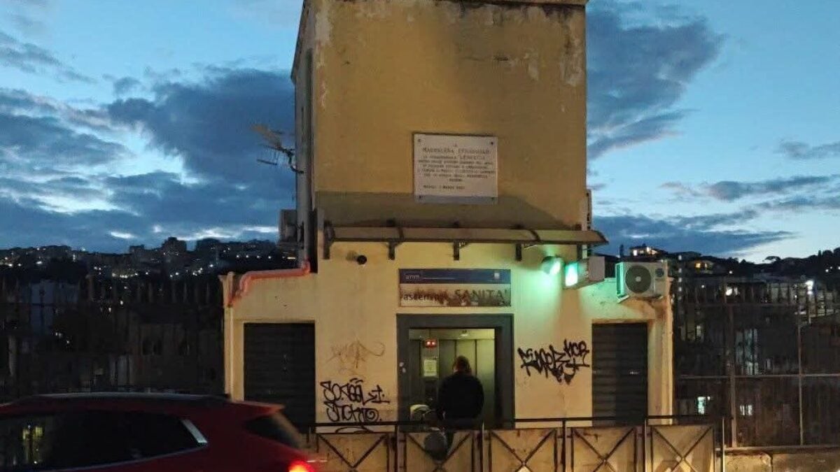 Immagine