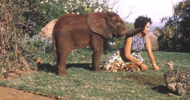 Daphne Sheldrick