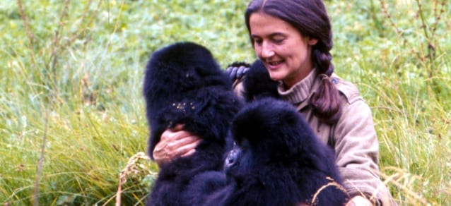 Dian Fossey
