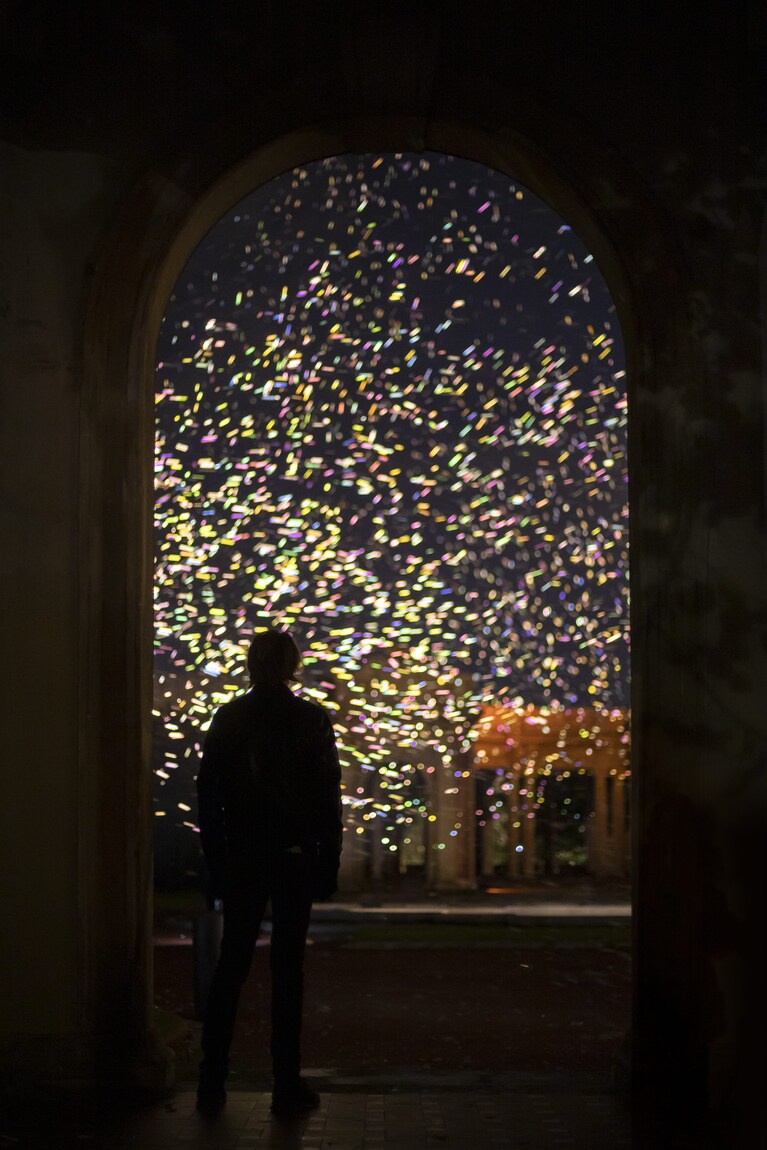 Immagine