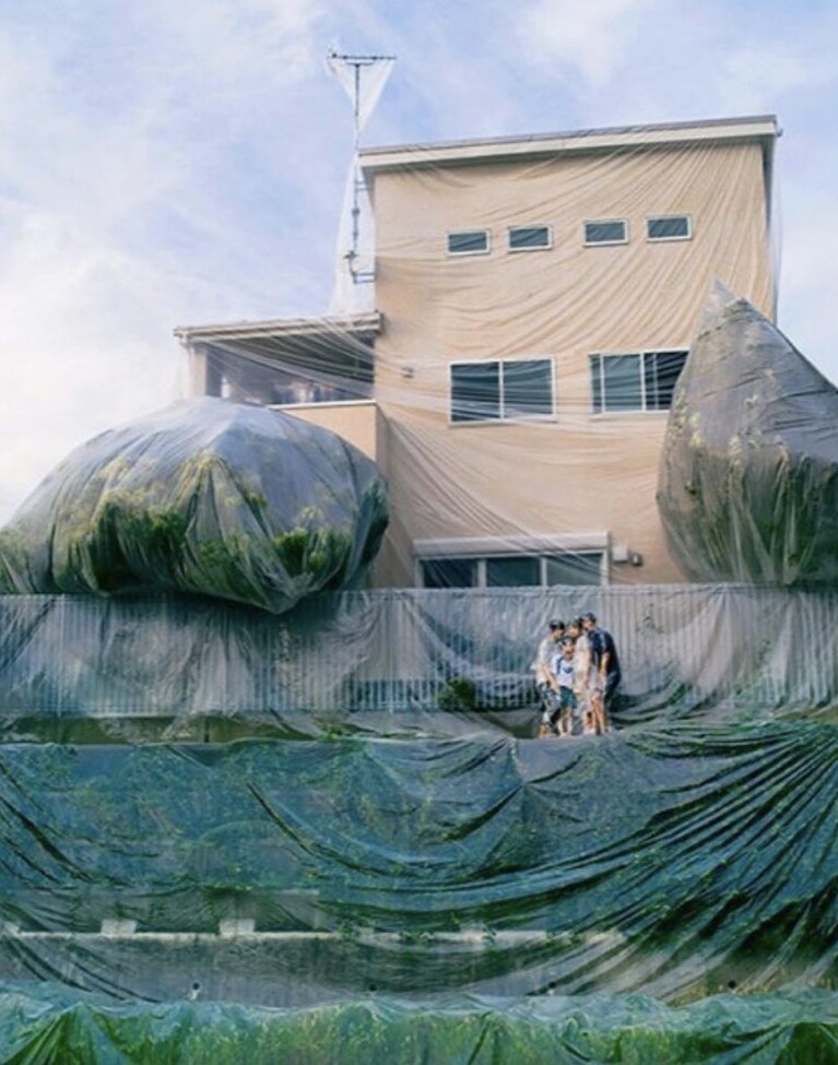 Immagine