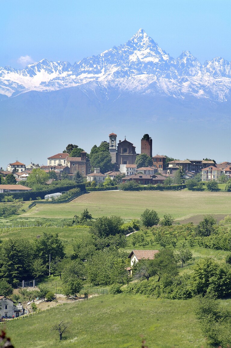 Immagine