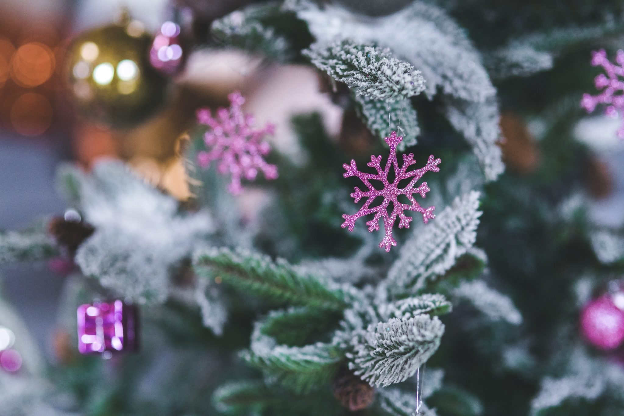Le tendenze per l'albero di Natale 2022: colori, addobbi e luci