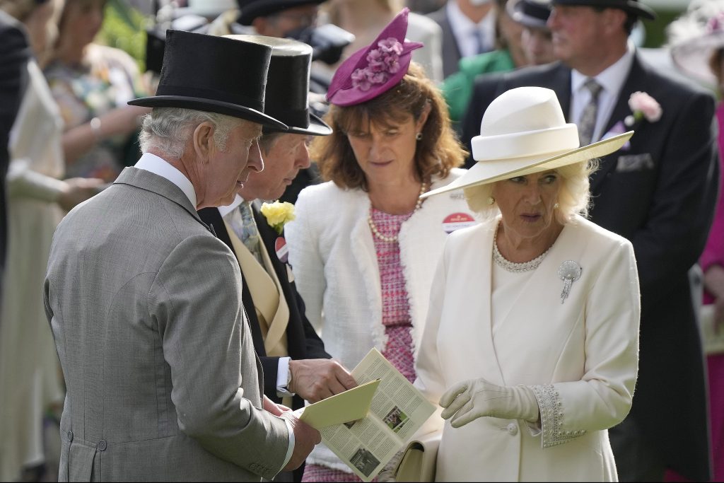 Fascinator Clip Donna Fascinator Con Fiore E Piume Per Matrimoni E Royal Ascot - Clip Da Capelli Elegante, Colore Bianco Fascinatore Finecy In - Foto 4
