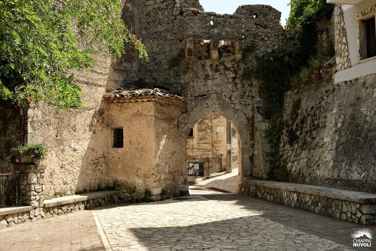Immagine