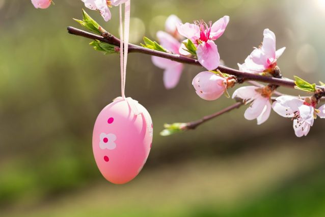 Quando è Pasqua 2024: le date, i giorni di vacanza e come si calcola la