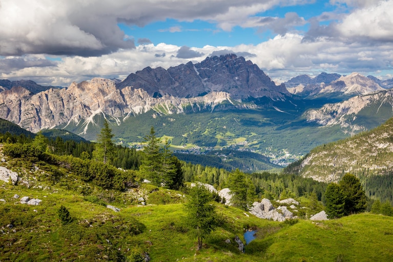 Immagine