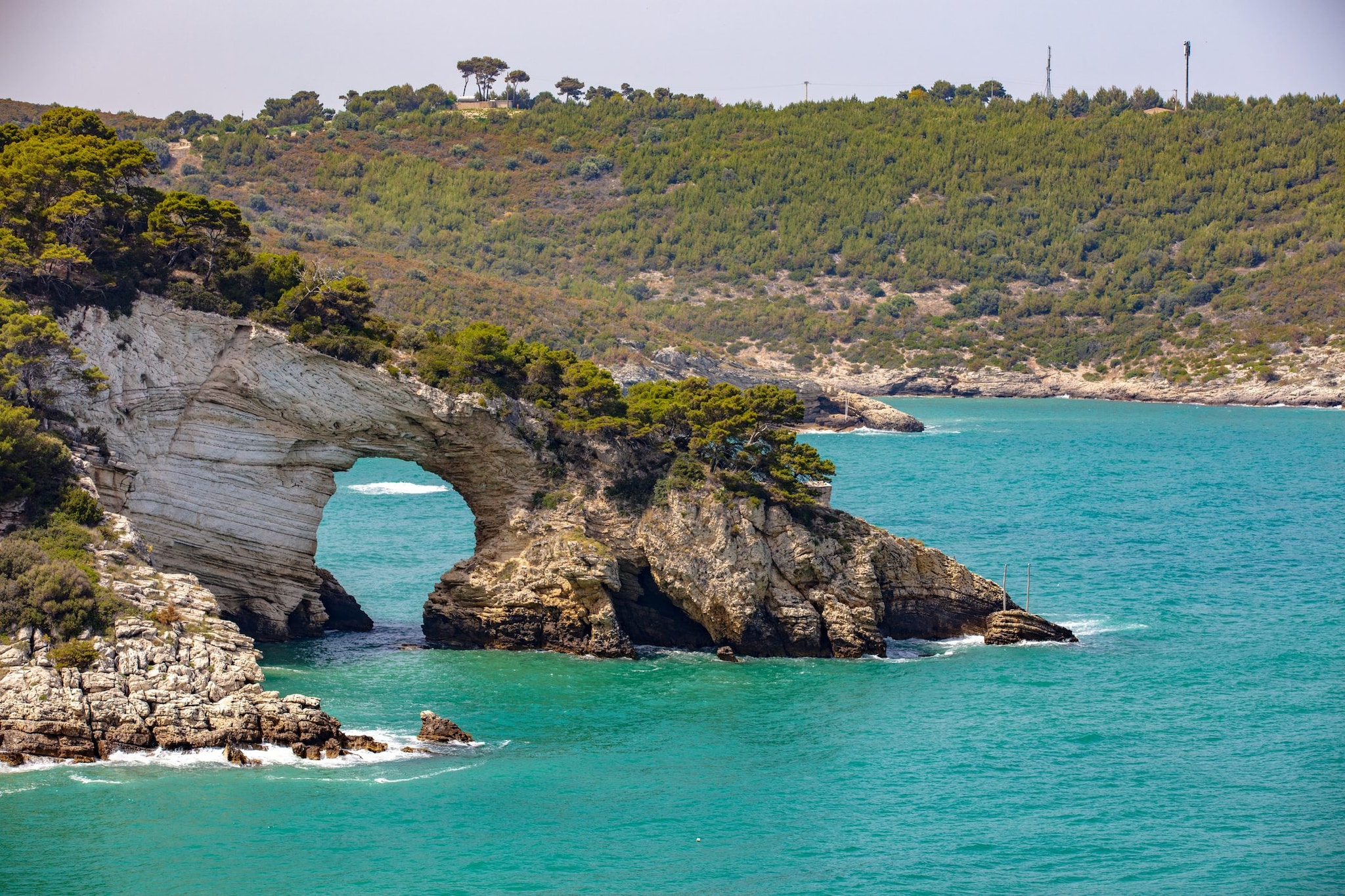 Vieste, Parco Nazionale del Gargano, Puglia