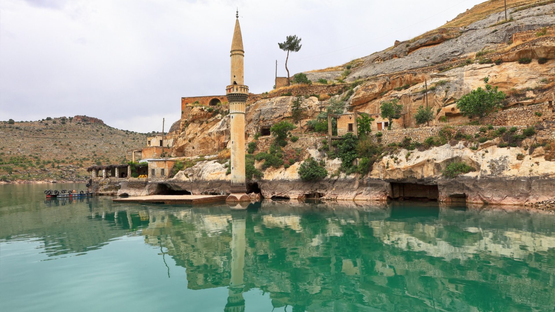 Qual è la città sottomarina dove fioriscono le rose nere