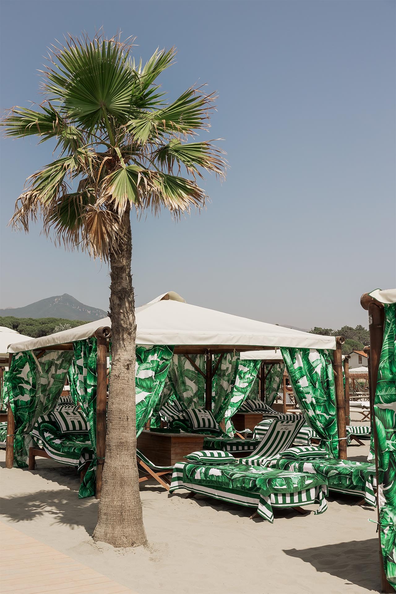 Twiga Versilia