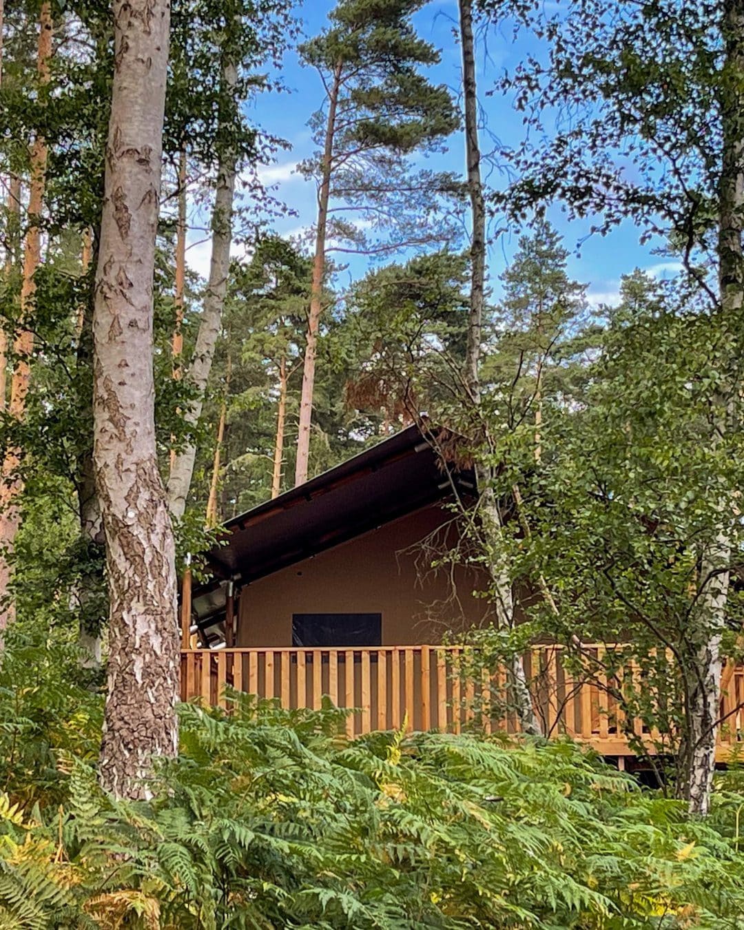 Sandringham Estate Caravan and Motorhome Club Campsite