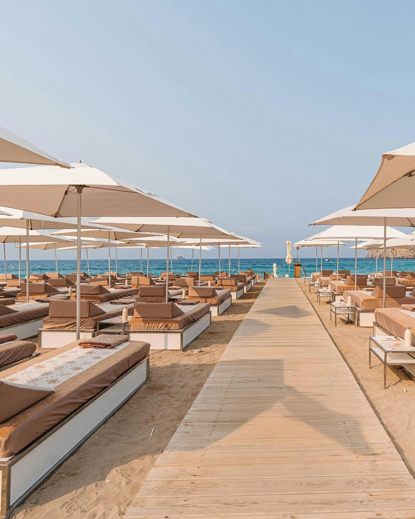Blue Marlin