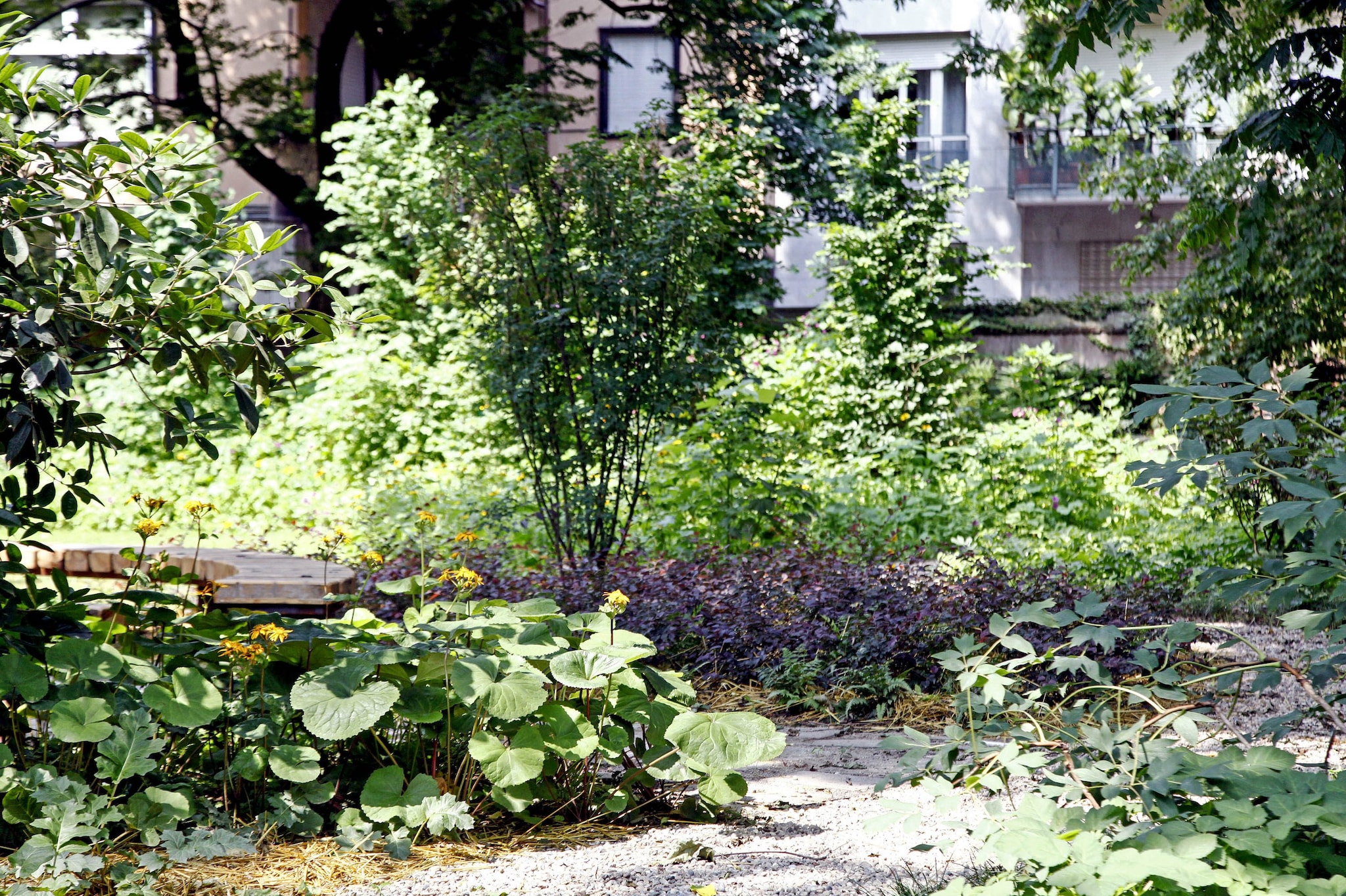 Orto Botanico di Brera