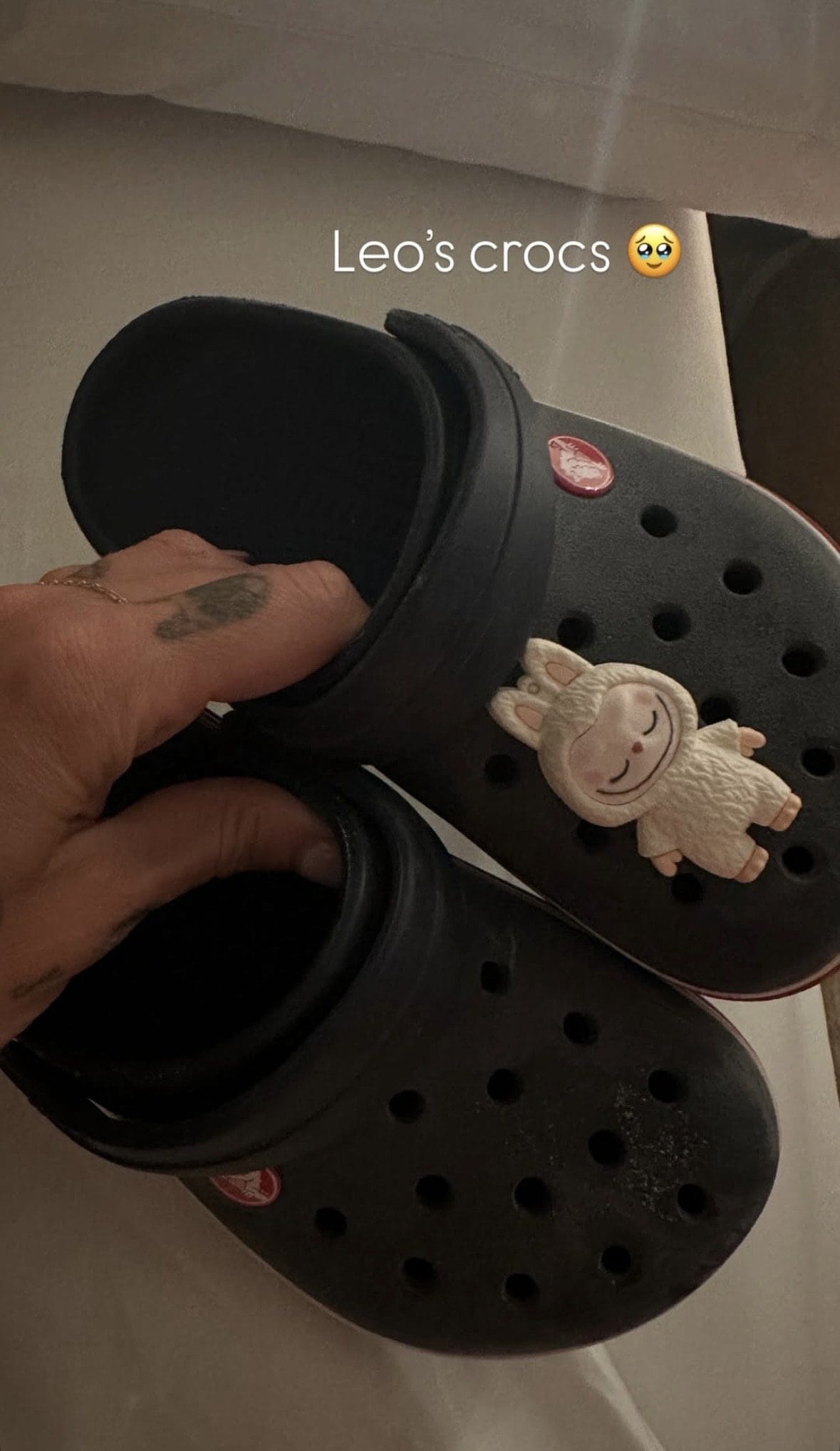 Le Crocs di Leone