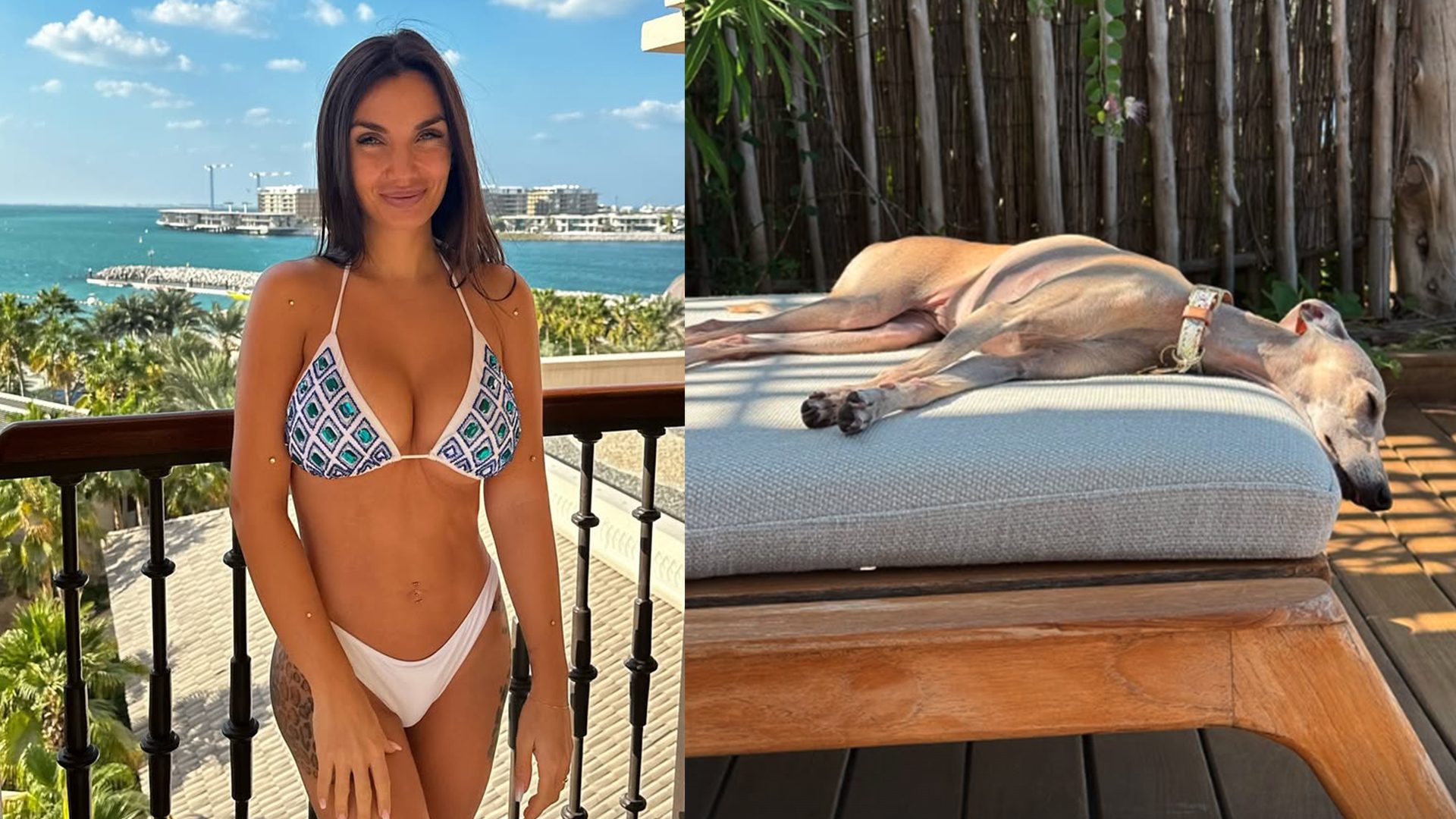 Elettra Lamborghini non bada a spese per Lea: la cagnolina col collare firmato da 490 euro