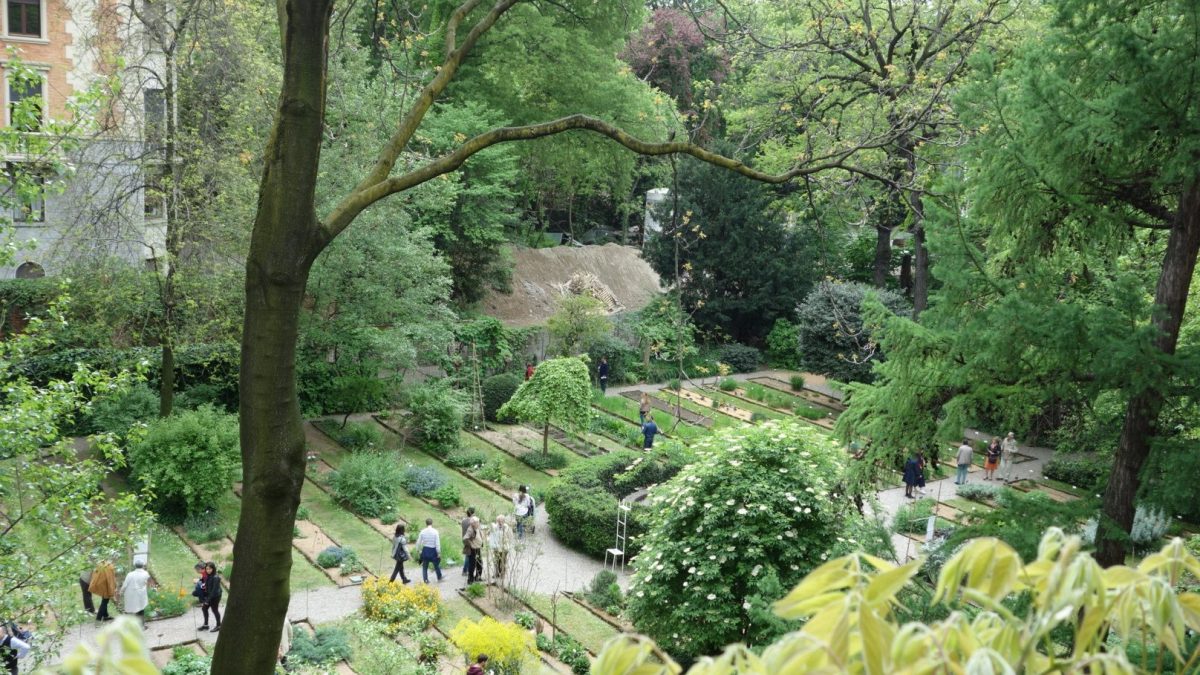Orto Botanico di Brera