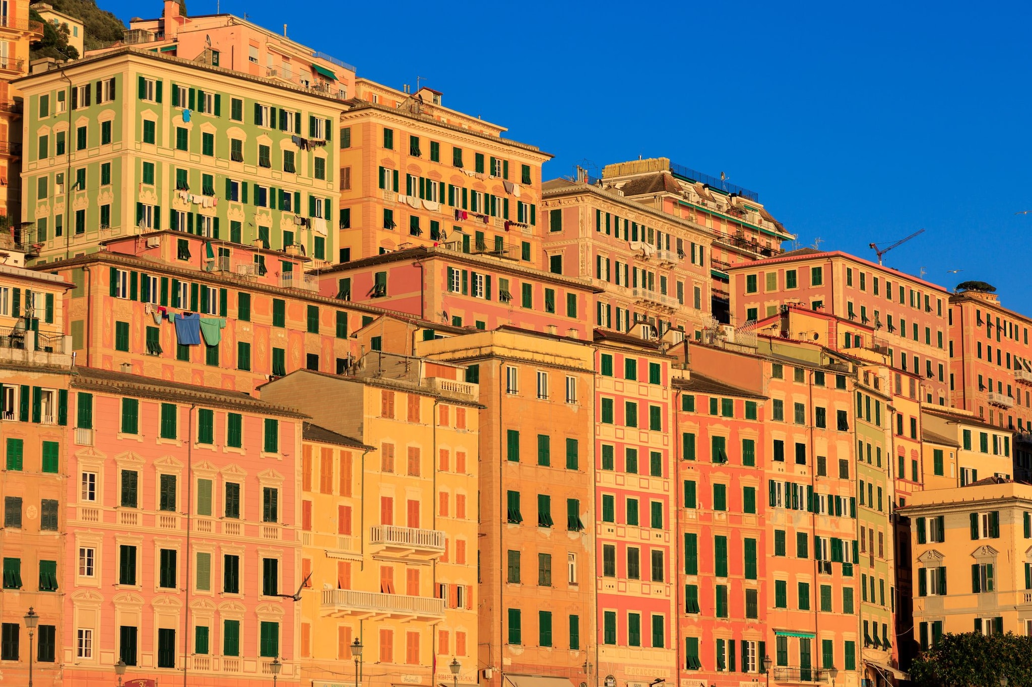 Camogli