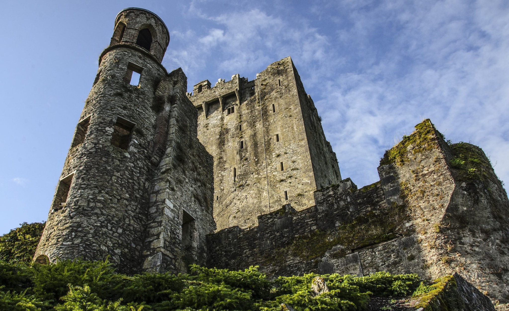Dettaglio del Castello di Blarney