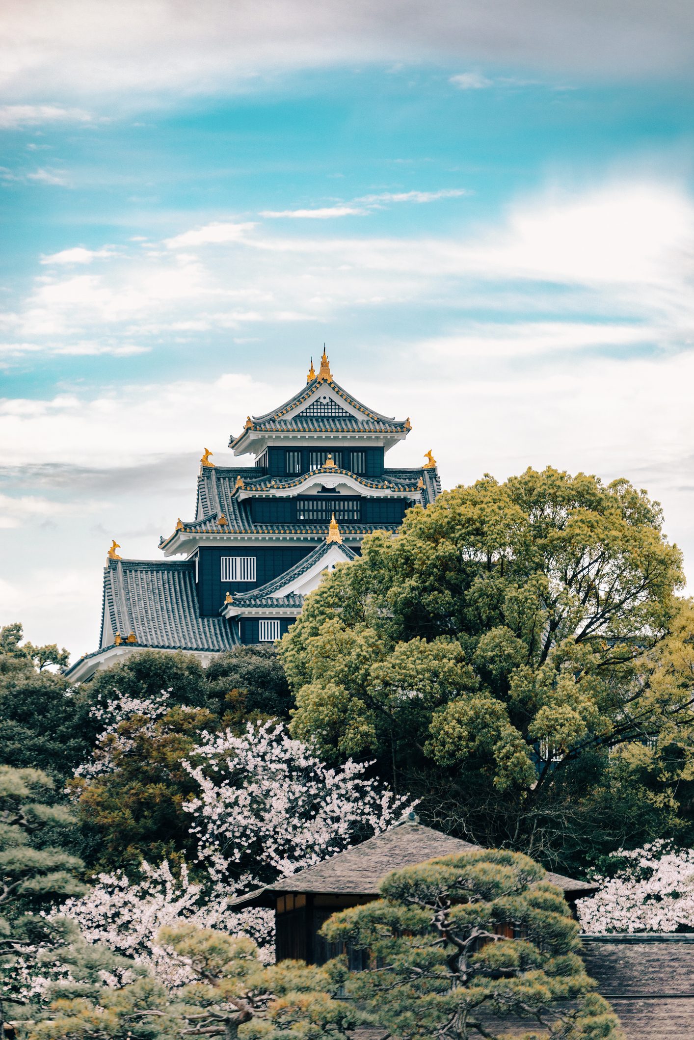 Il Castello di Okayama