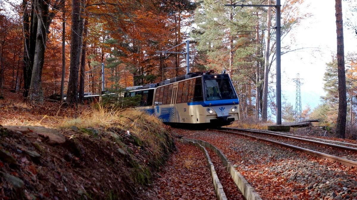 Il Treno del Foliage 2025