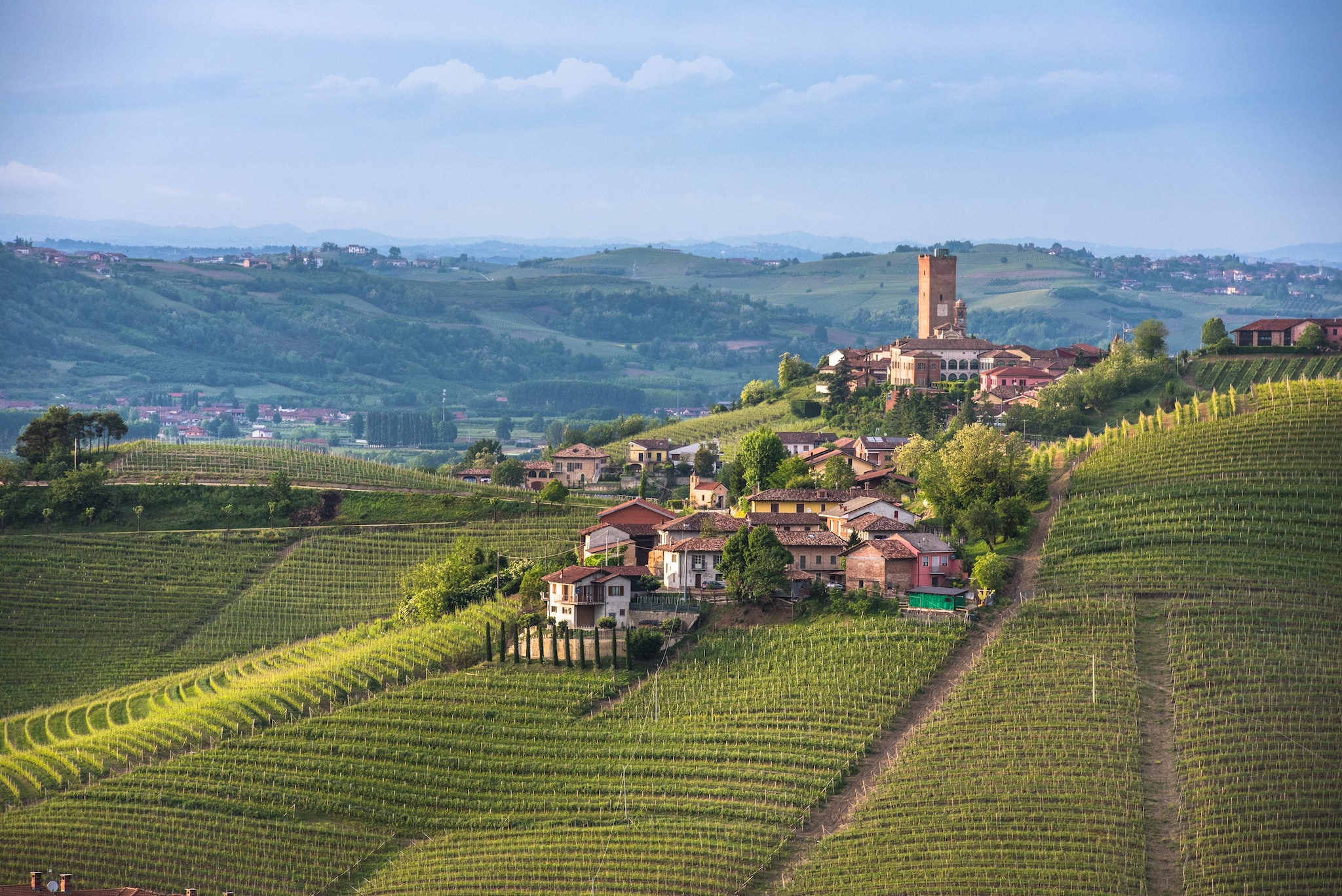 Le langhe piemontesi