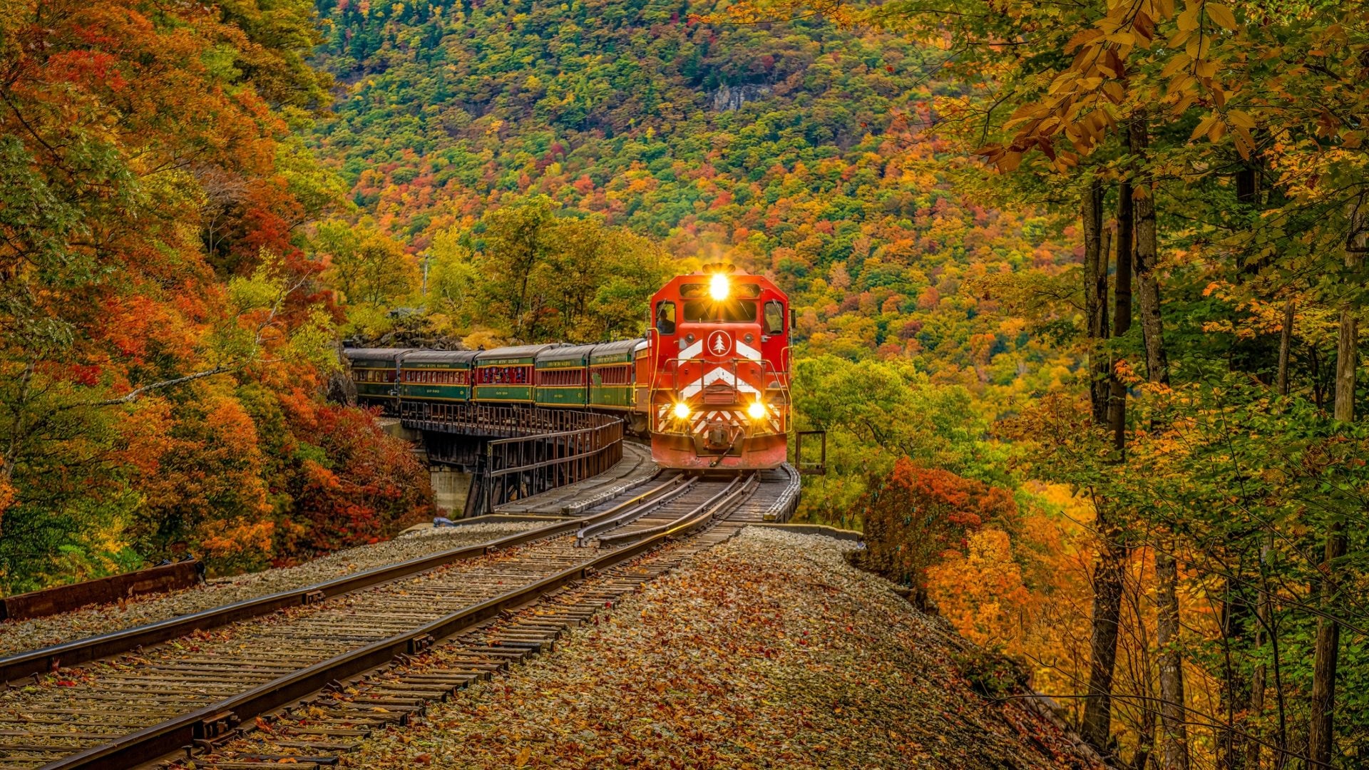 Transiberiana d'Italia in autunno 2025: prezzi dei biglietti, orari e percorsi del foliage