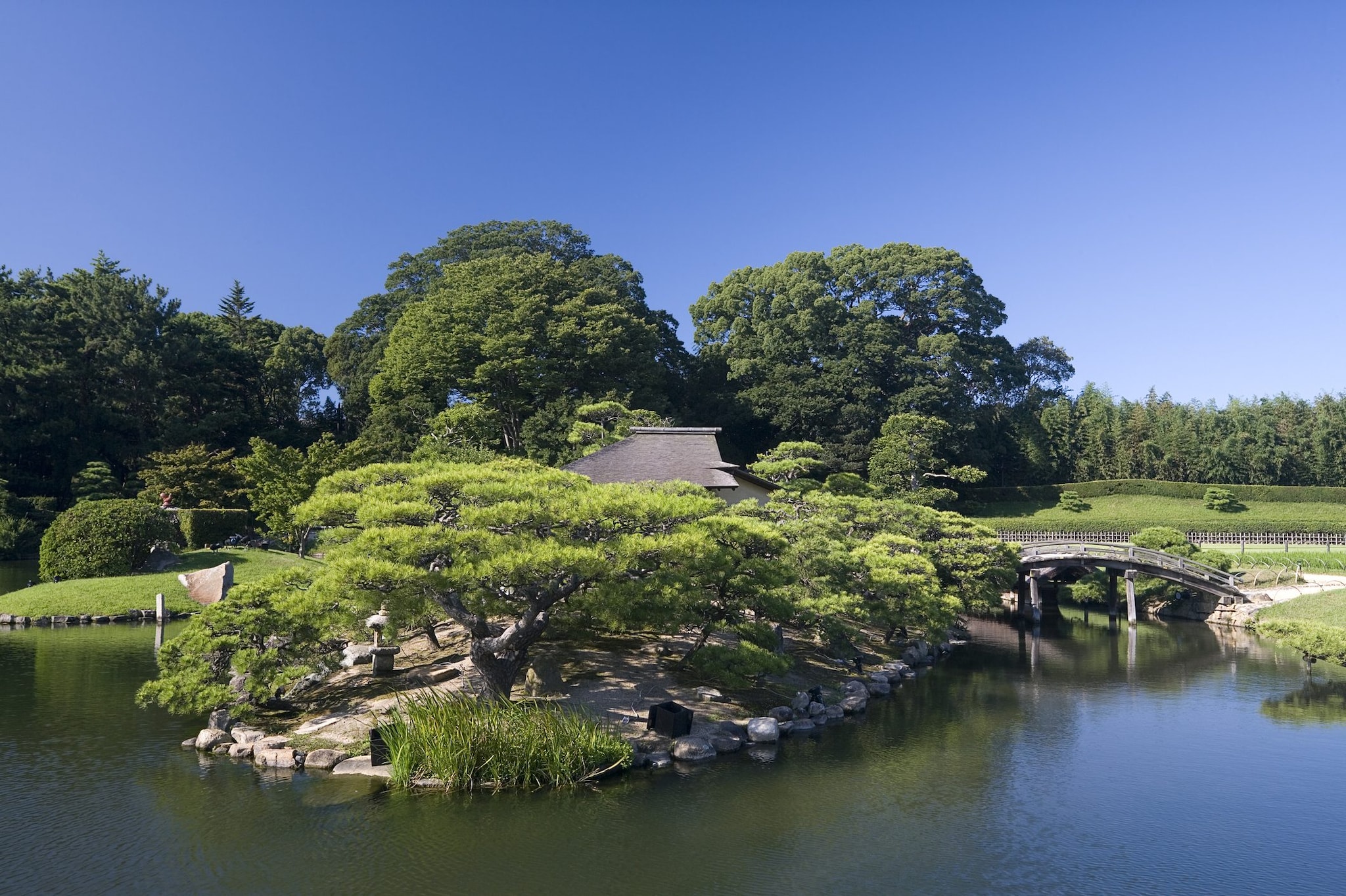 Dettaglio del giardino di Korakuen