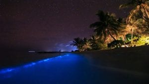 Come il "mare magico" è diventato la principale attrazione delle Maldive (anche se non esiste)