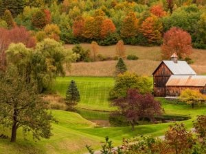 pomfret-vermont-foliage-300x225.jpg