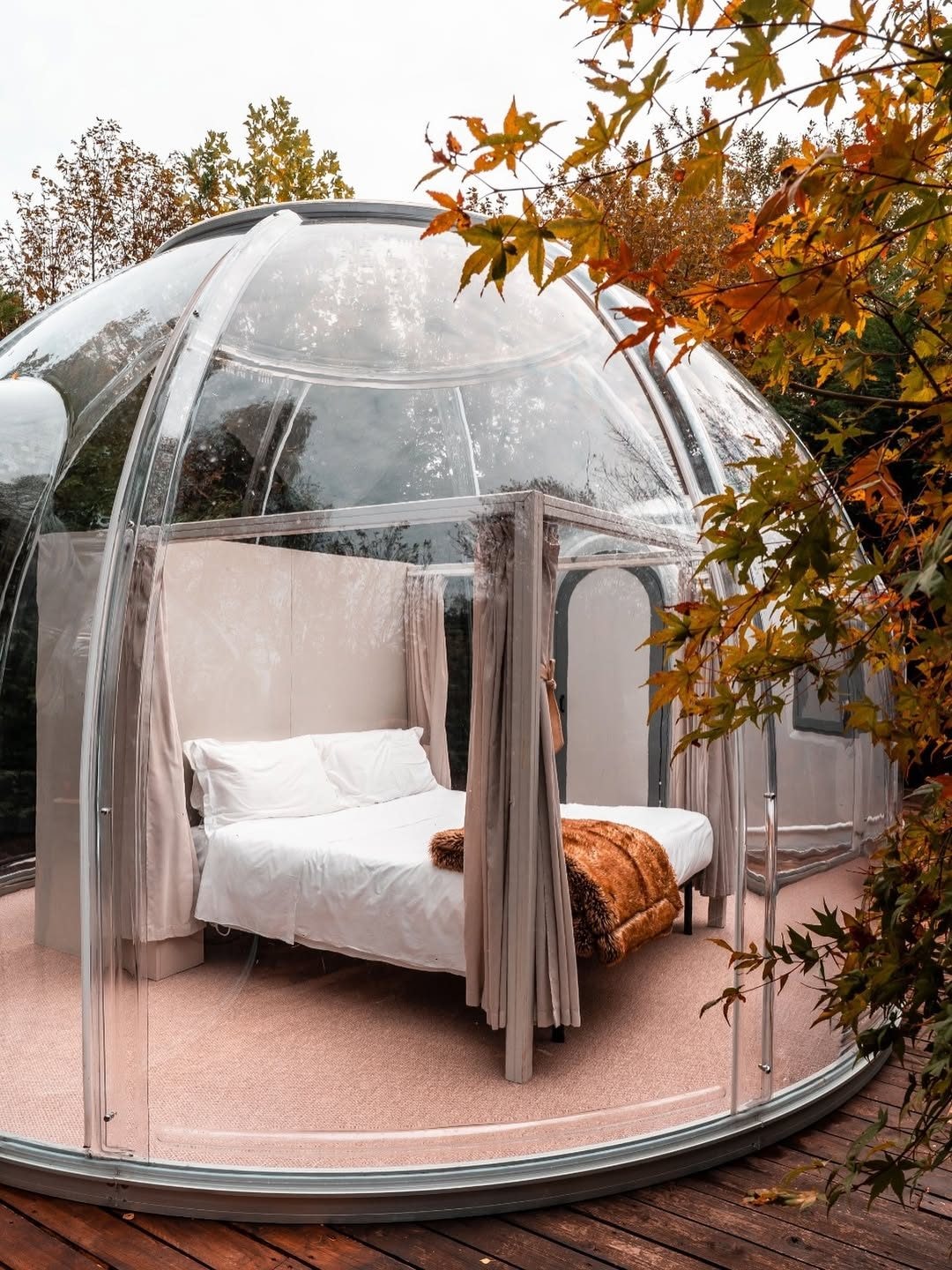 Bubble Room, Lombardia