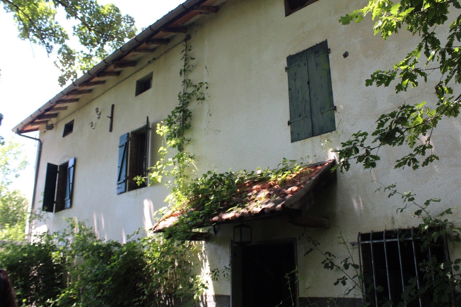 Dettaglio La Coccia