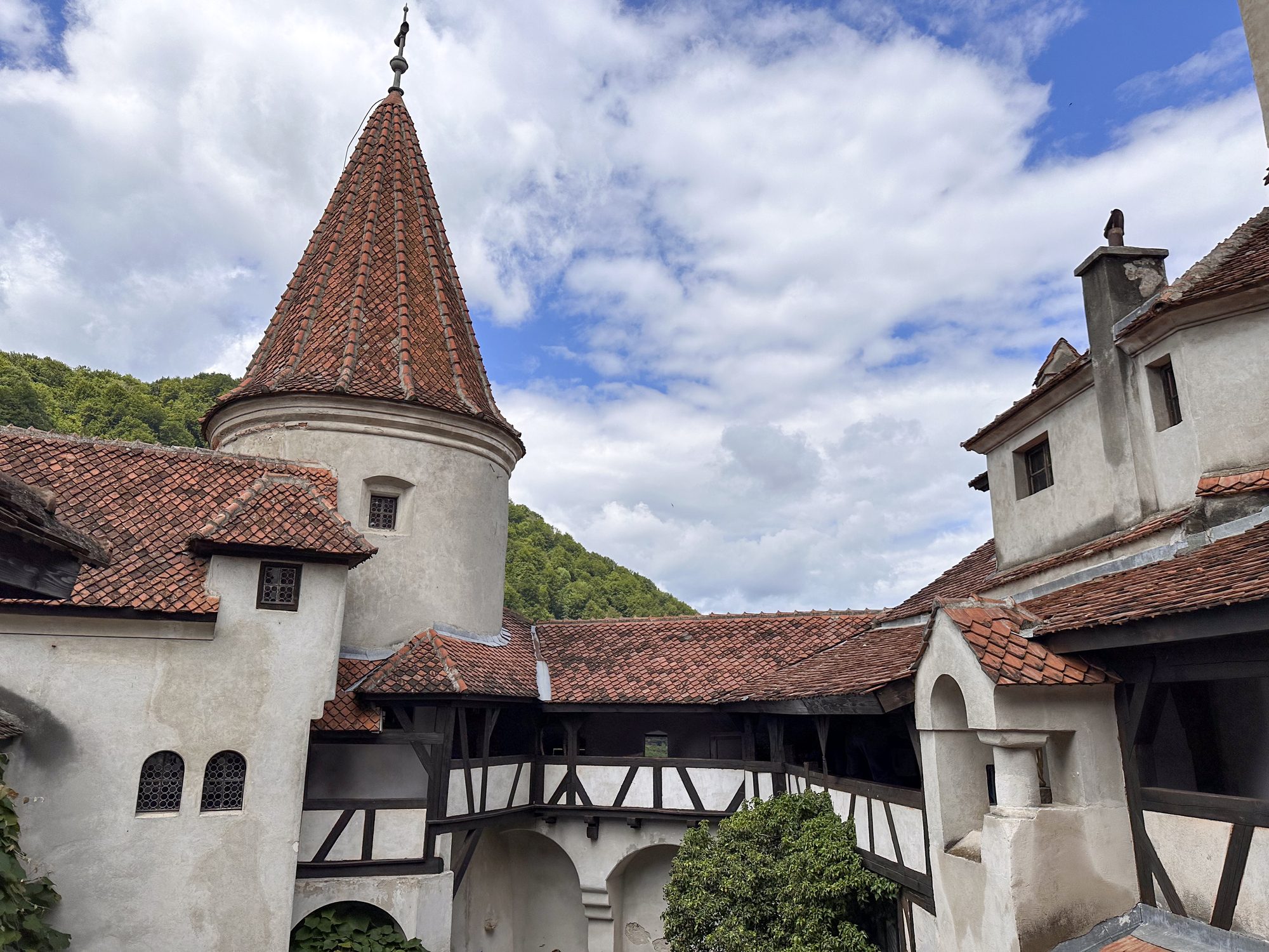 Dettaglio del castello di Bran