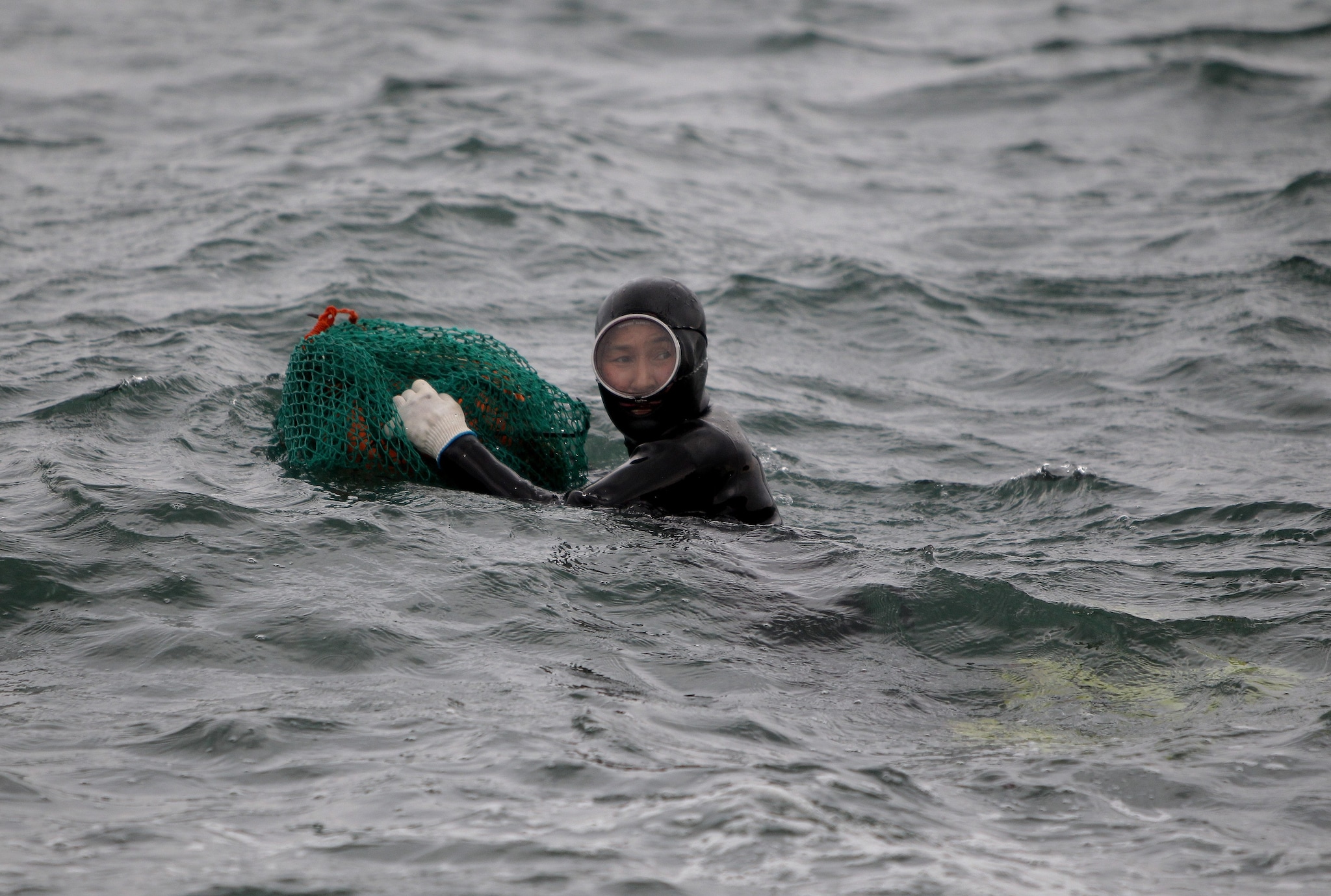 Donna haenyeo si immerge
