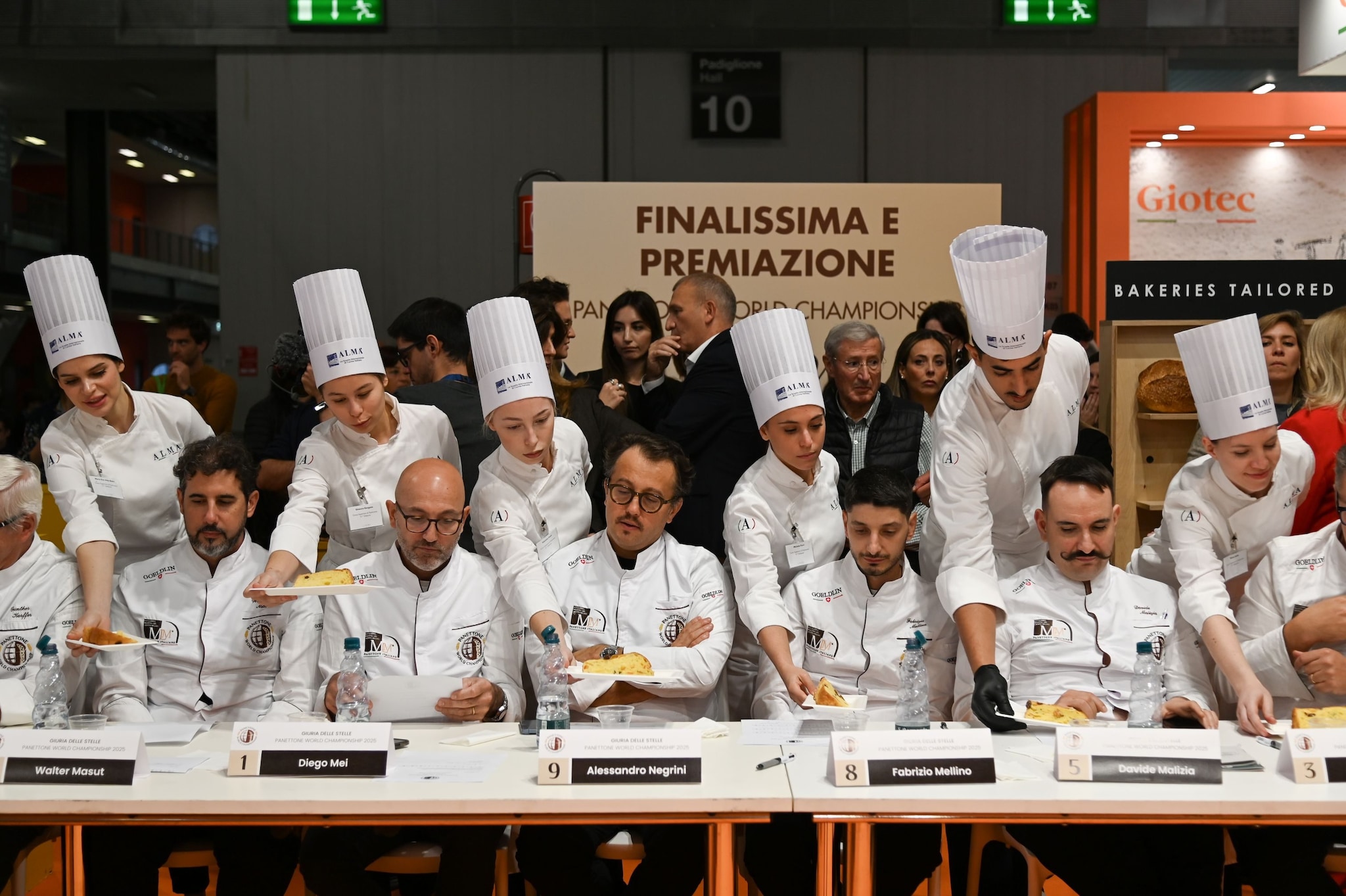 La Giuria Delle Stelle