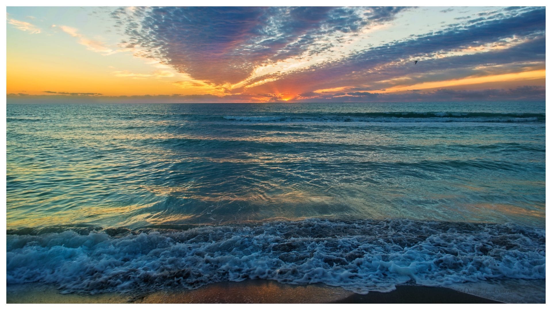 Ichigo Ichie, il segreto zen giapponese per essere davvero felici