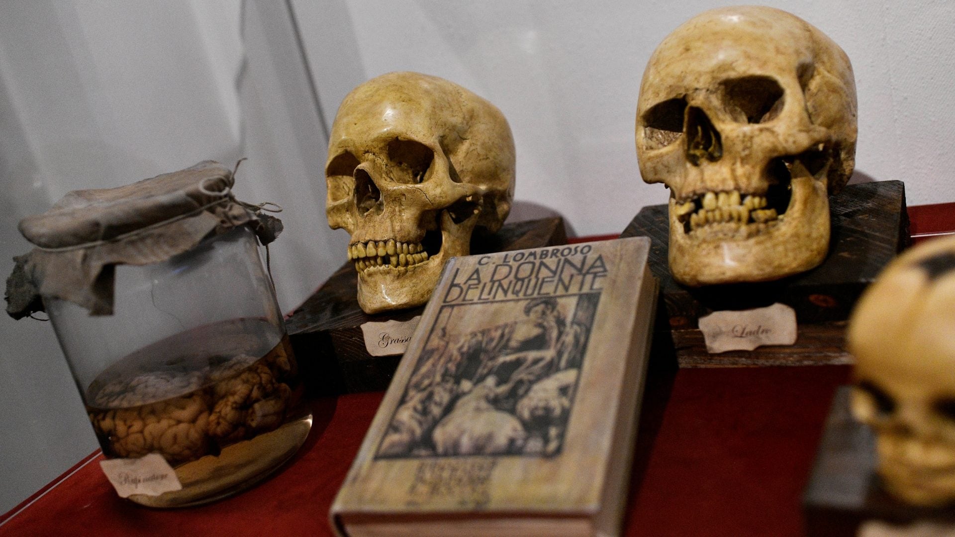 Il Museo dei Serial Killer, Torino