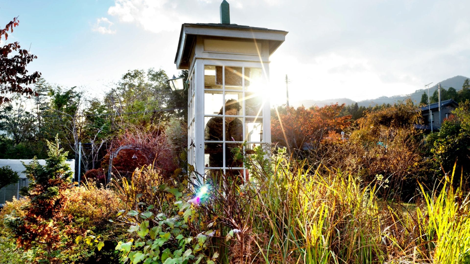 Il Telefono del Vento, dove si trova la vecchia cabina in cui chiamare chi non c'è più