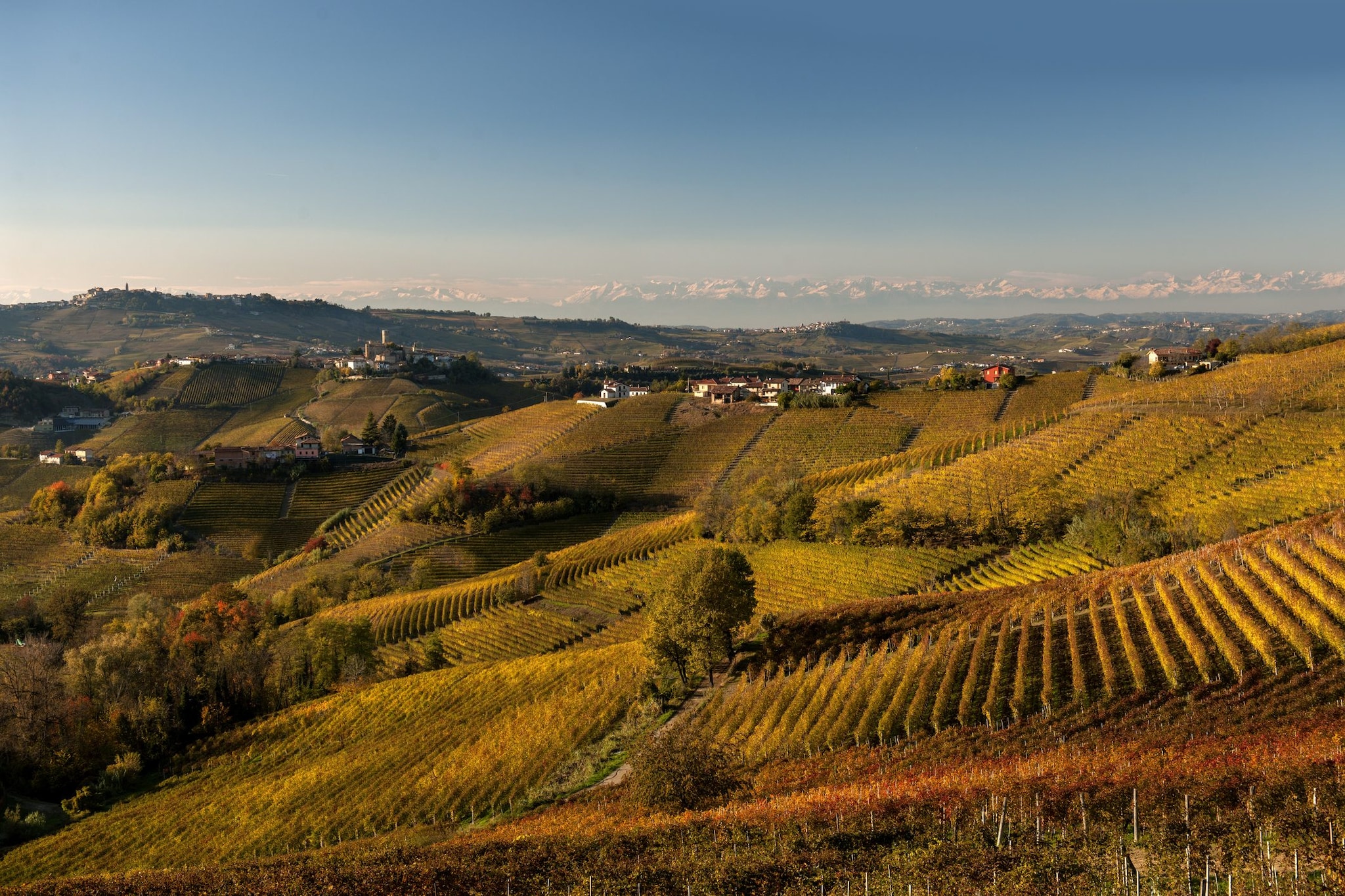 Le Langhe in autunno