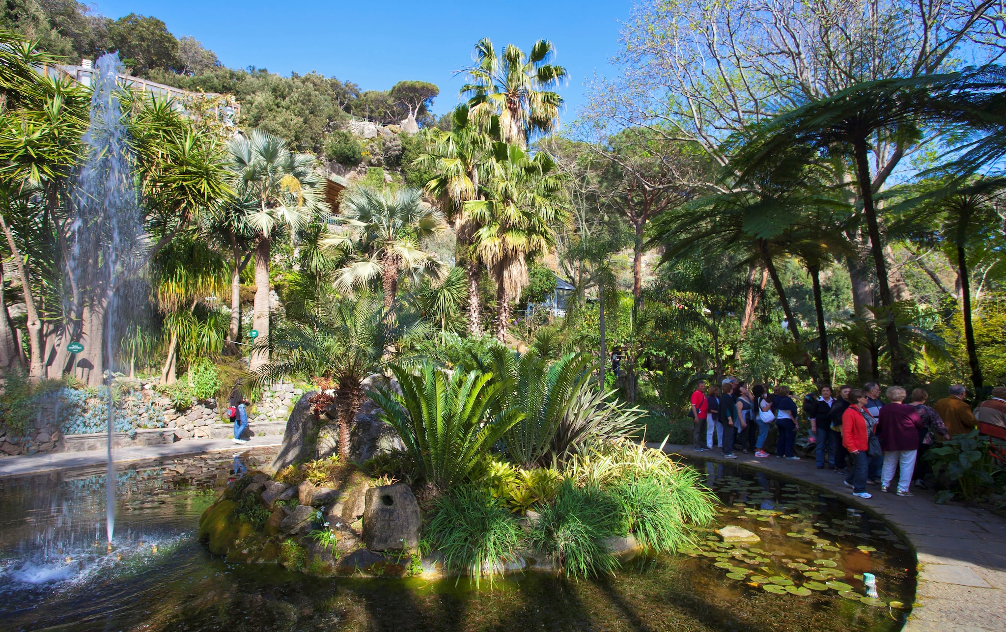 Giardini La Mortella, Ischia