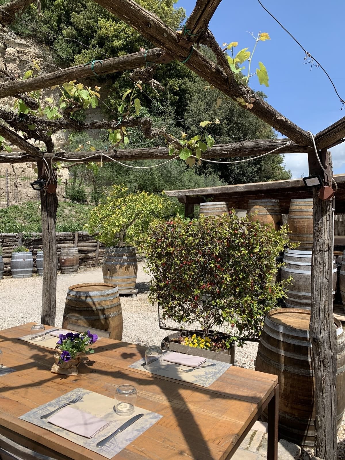 Osteria dell’elefante
