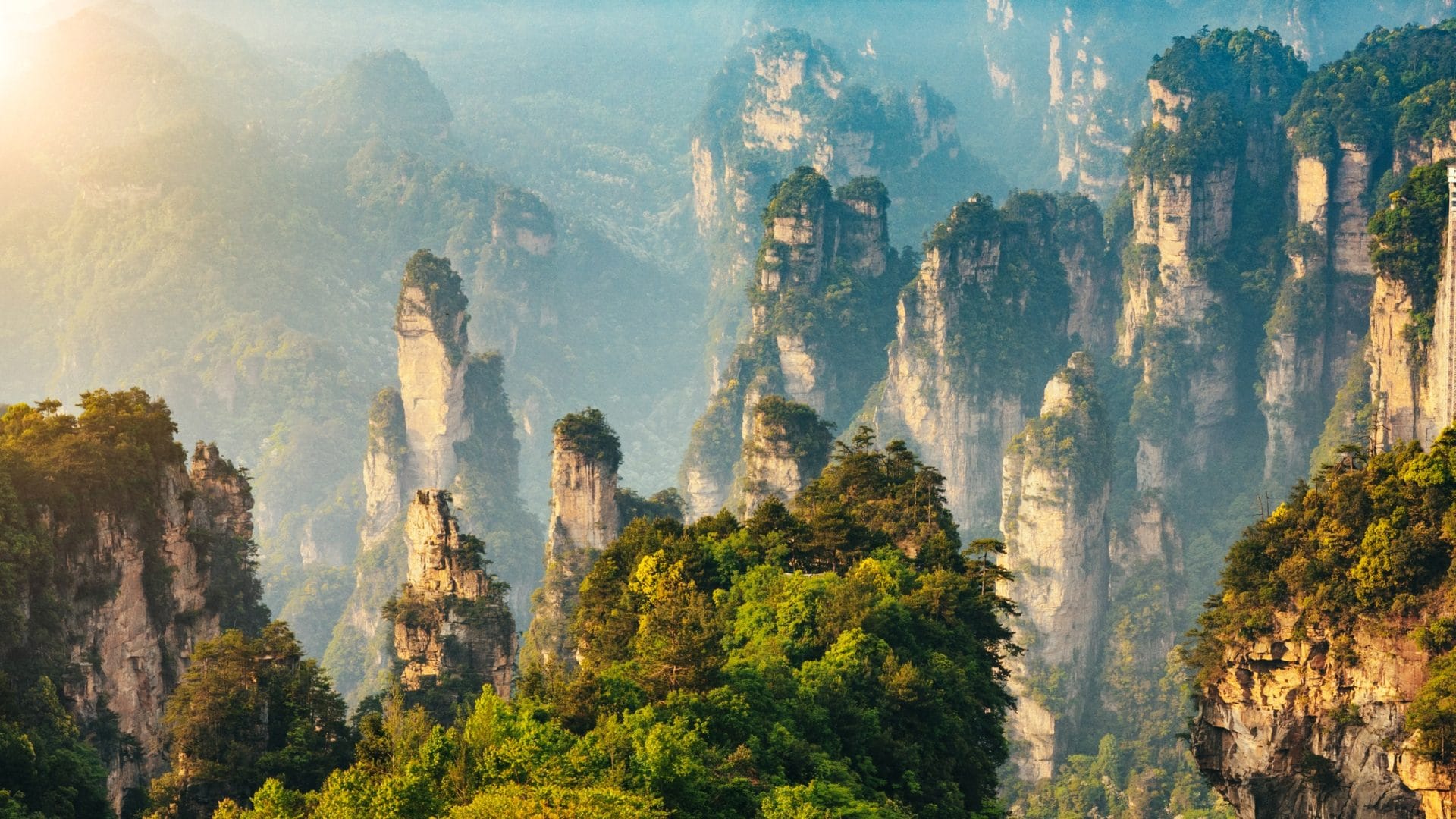 Tra le montagne che hanno ispirato Avatar e l'ascensore più alto del mondo, ecco il Parco di Zhangjiajie