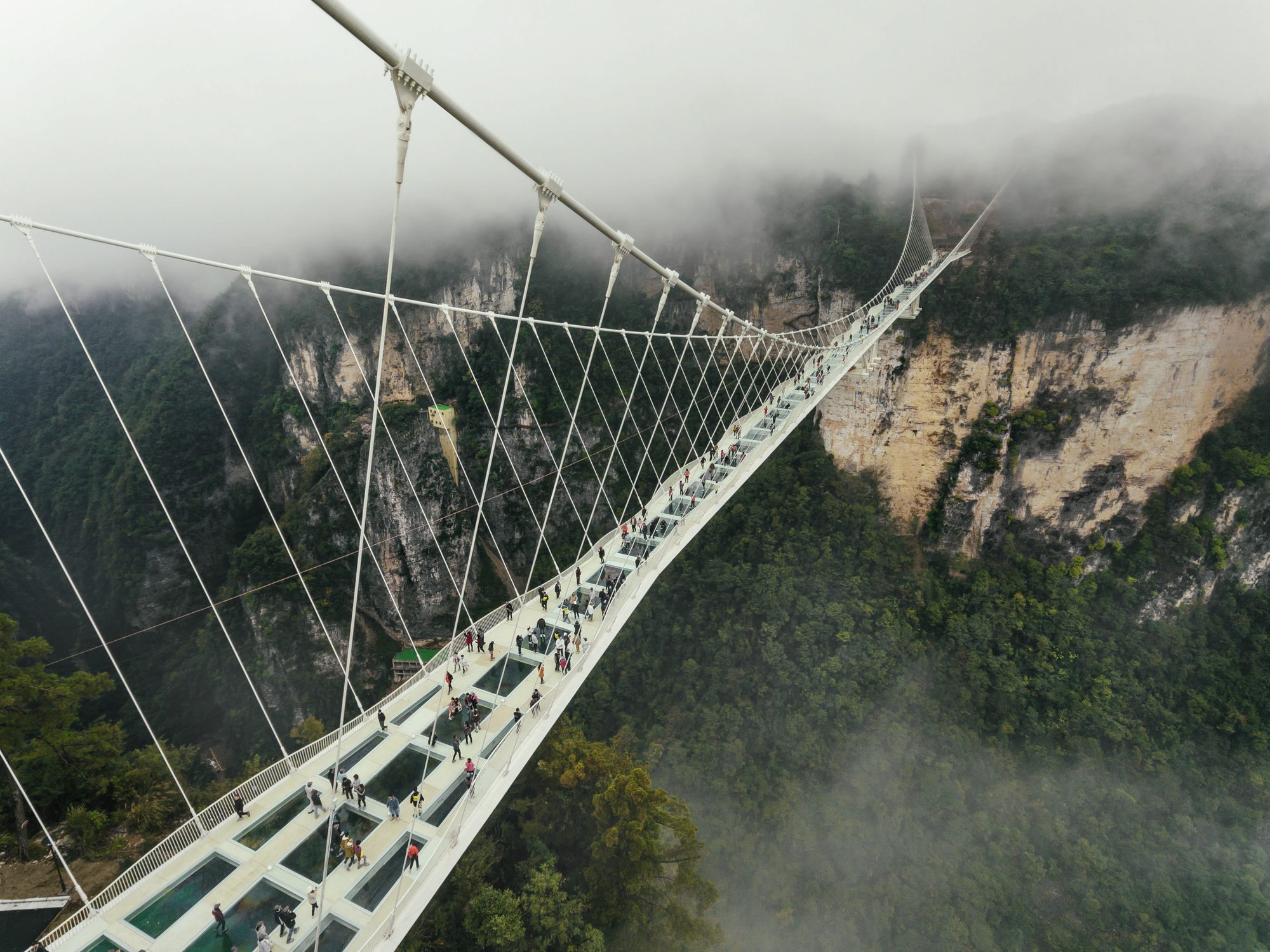 Il Ponte di Vetro nel Parco Forestale Nazionale di Zhangjiajie