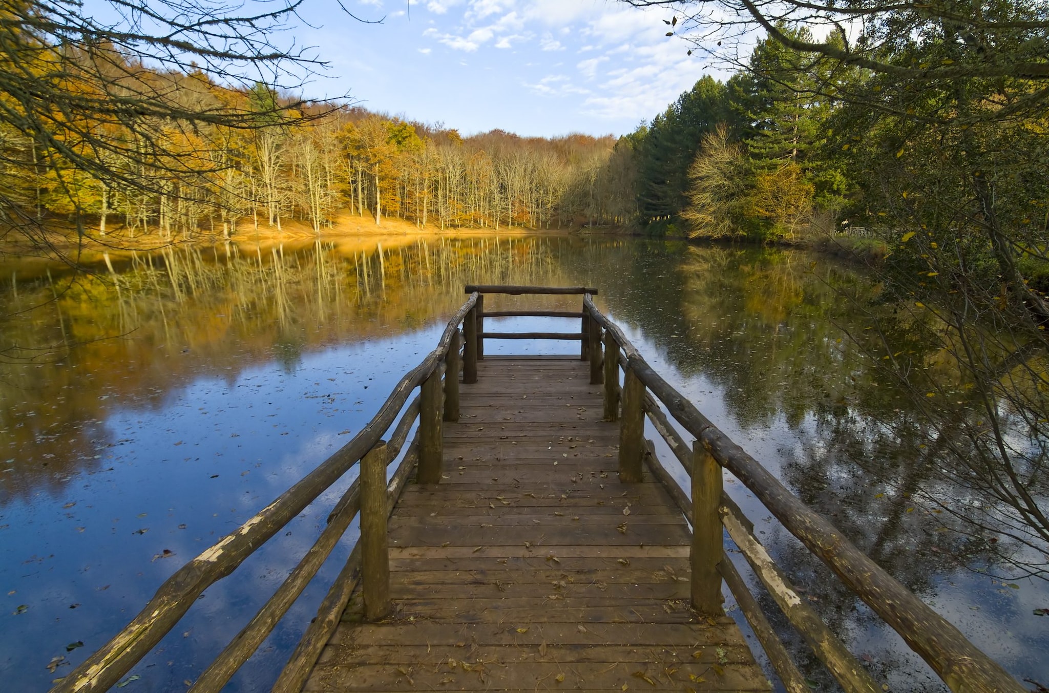 Piccolo lago nella Foresta Umbra, Puglia