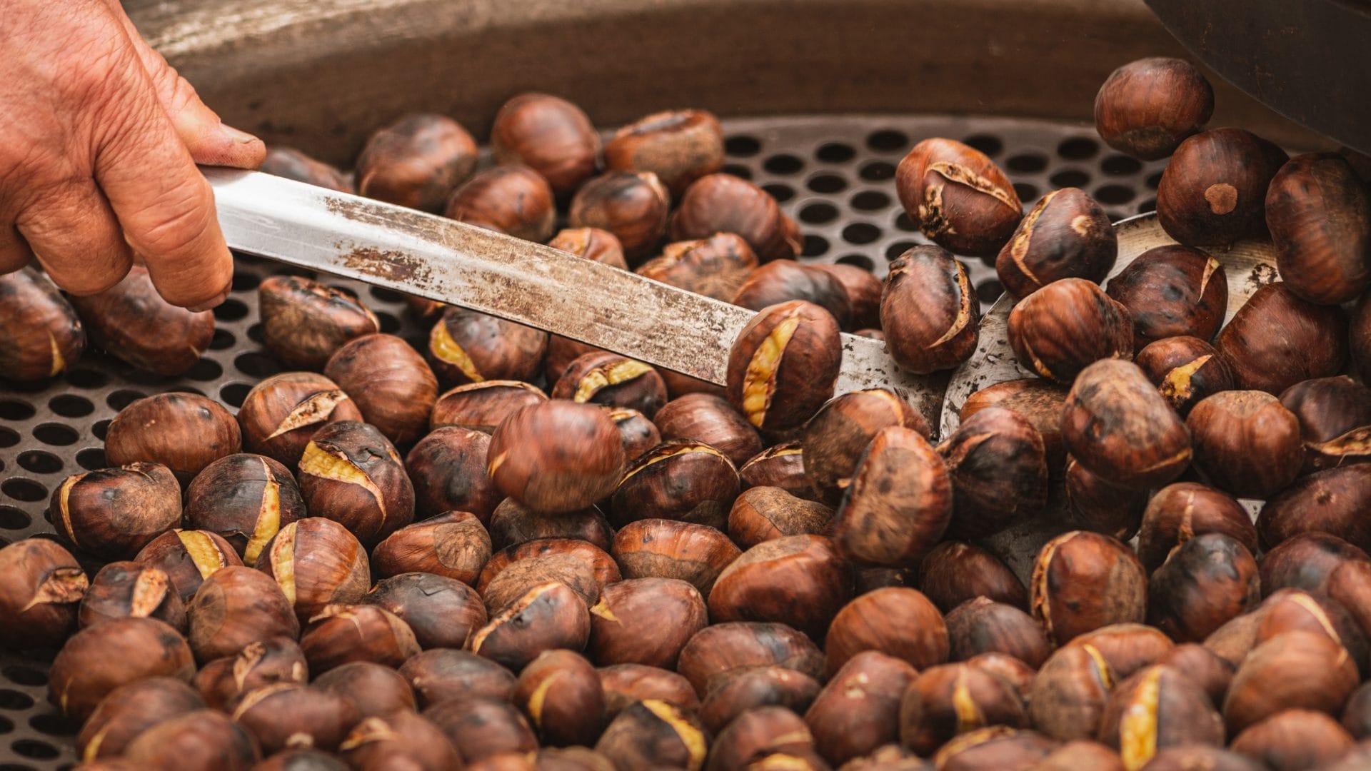 Le sagre della castagna da non perdere nel weekend del 4 e 5 ottobre: i migliori eventi regione per regione