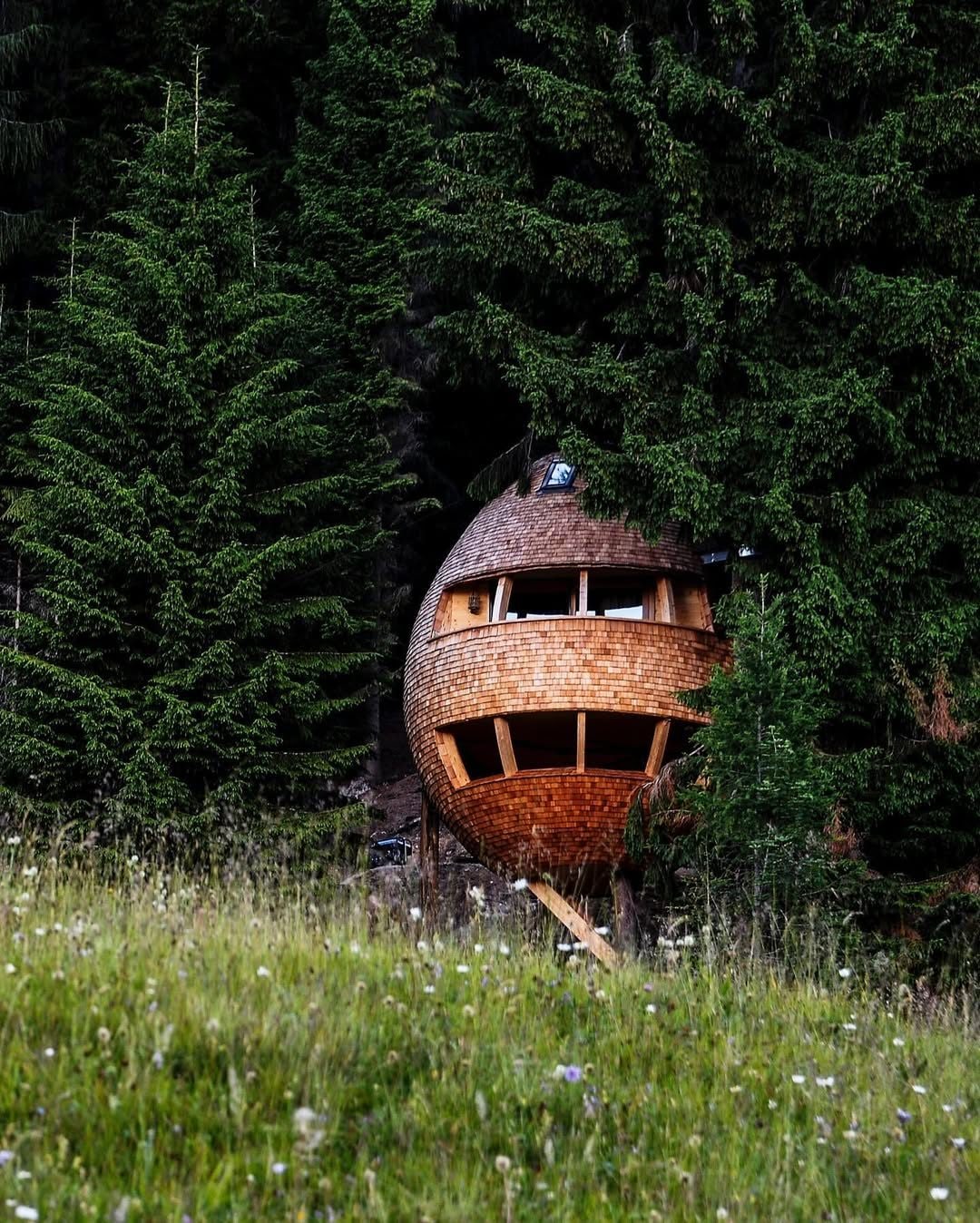 Casa sull’albero di Malga Priu, Friuli–Venezia Giulia