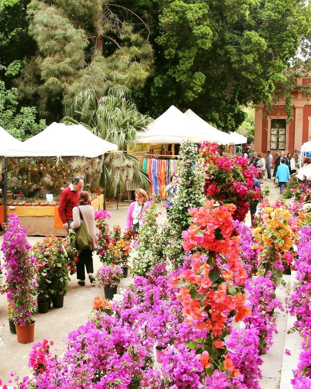 Orto Botanico di Palermo